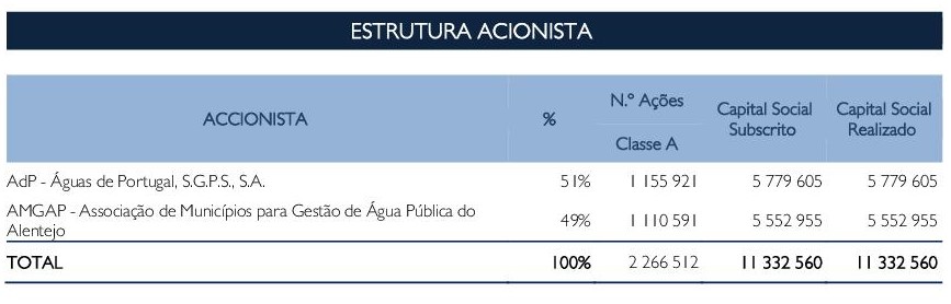 ESTRUTURA ACIONISTA 001