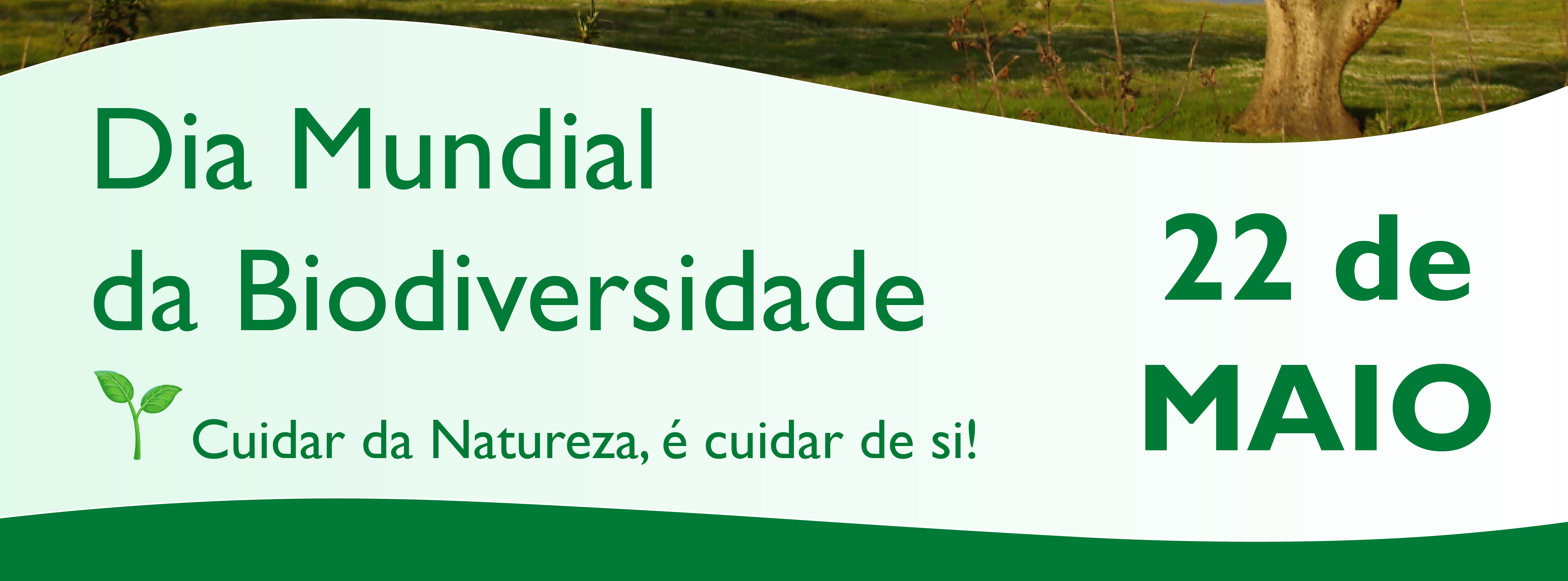images/Educacao_Ambiental/Dias/banner_Dia_Mundial_da_Biodiversidade_-_Cópia.png