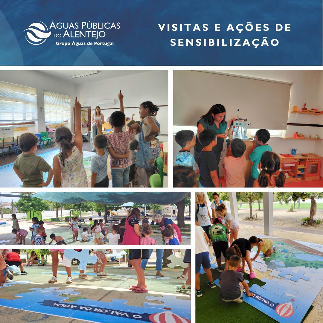 Açoes mertola
