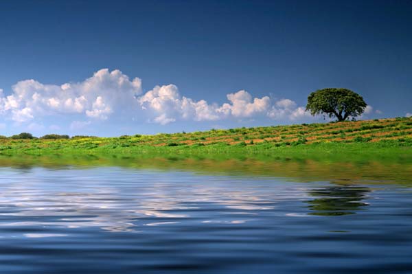 alentejo-passagem-de-ano